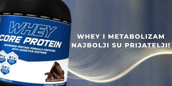 whey metabolizam